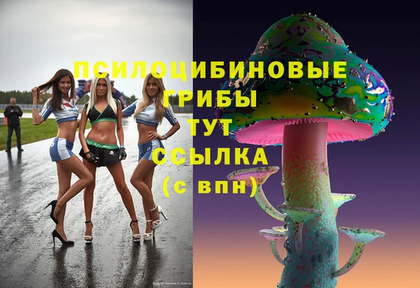 марихуана Гусиноозёрск
