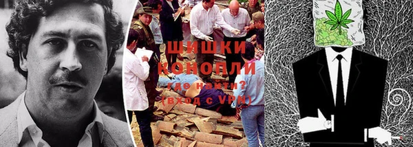 бошки Гусь-Хрустальный