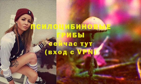 кокаин премиум Гусев
