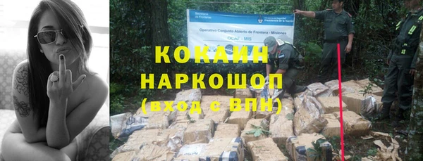 бошки Гусь-Хрустальный