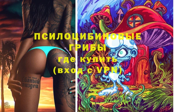 бошки Гусь-Хрустальный