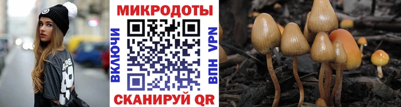 цены наркотик  Улан-Удэ  Псилоцибиновые грибы мицелий 